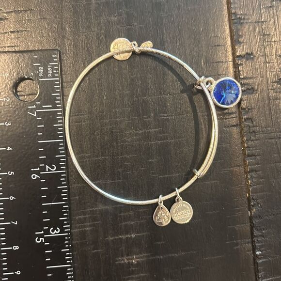 Alex and Ani Blue Crystal Charm Bangle Bracelet Silver Tone - Picture 2 of 4